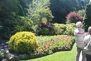 29 - Butchard Gardens  - IMG_1606